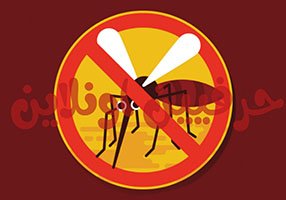 مكافحة حشرات في شركة حرفي اونلاين