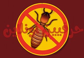 مكافحة النمل الأسود في شركة حرفي اونلاين