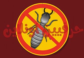 مكافحة النمل الأبيض في شركة حرفي اونلاين