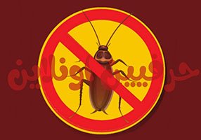 مكافحة الصراصير في شركة حرفي اونلاين