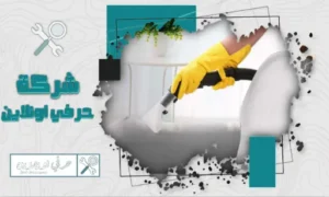 أفضل شركة تنظيف مساند بتبوك