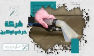 شركة تنظيف كنب بتبوك