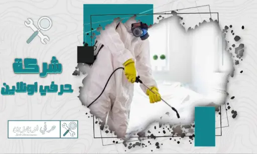 شركة تعقيم منازل بتبوك