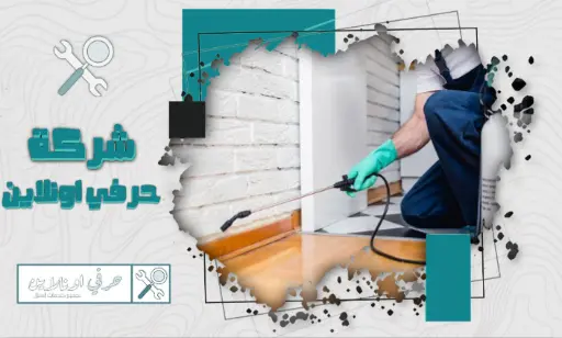 شركة مكافحة العتة في تبوك خصم 10%