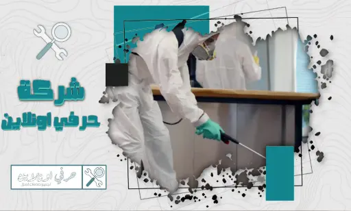 شركة مكافحة حشرات في تبوك معتمدة