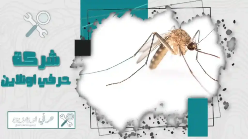 ارخص شركة مكافحة باعوض بتبوك