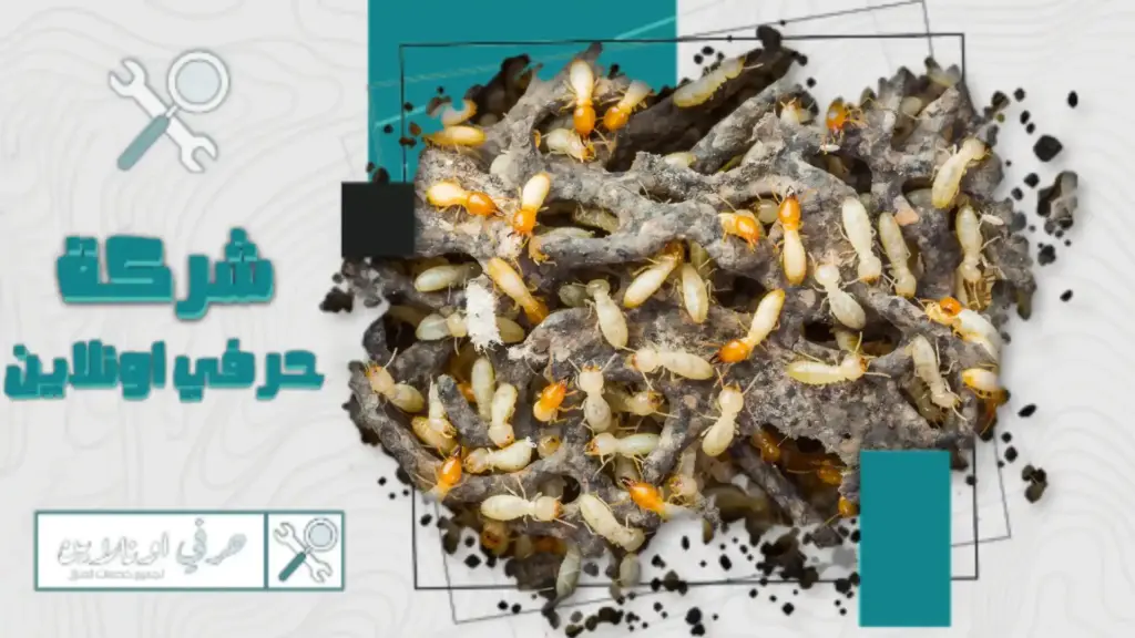 شركة مكافحة الرمة بتبوك